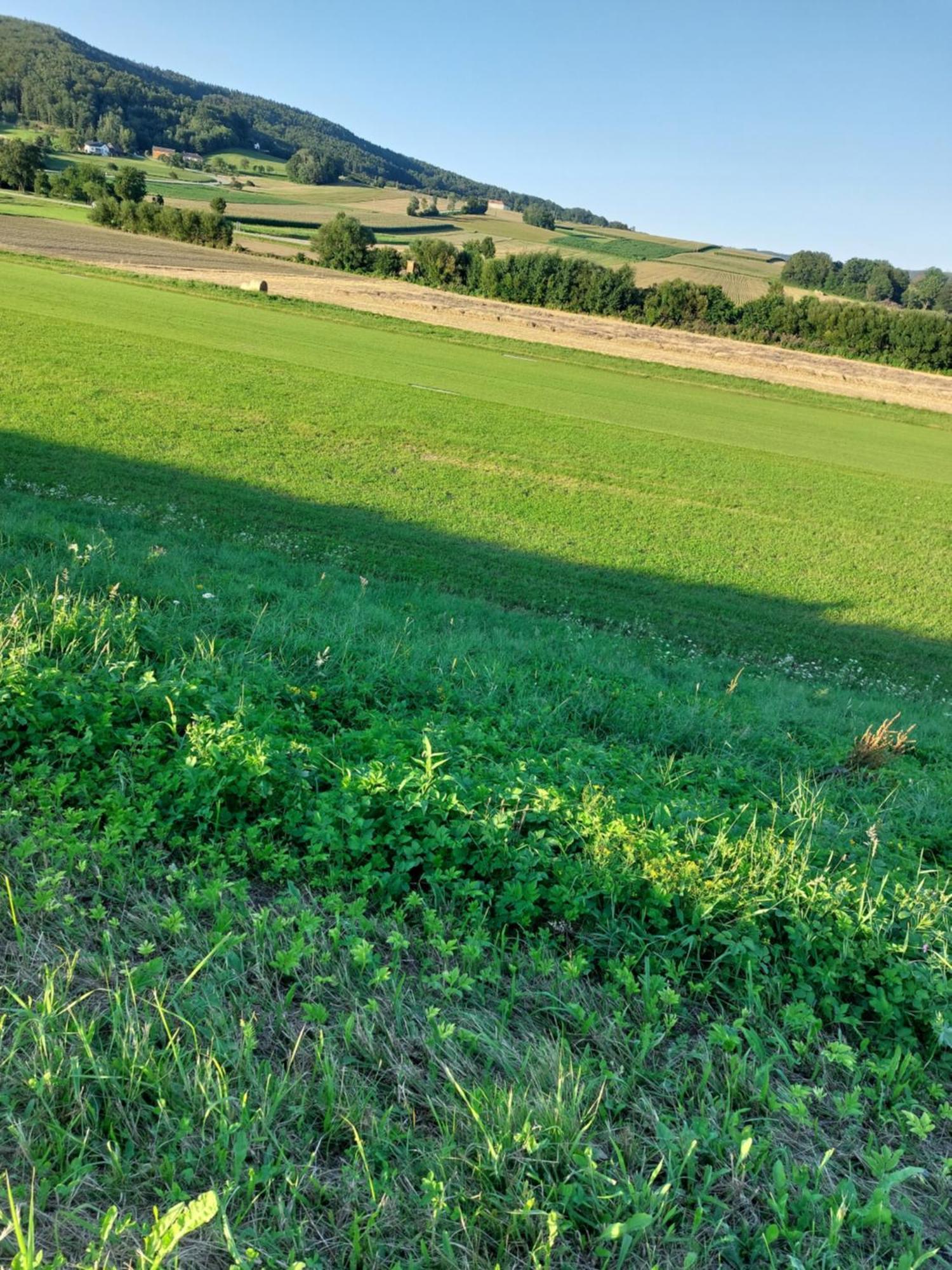 Ferienwohnung Gerti Pinkafeld Exteriör bild
