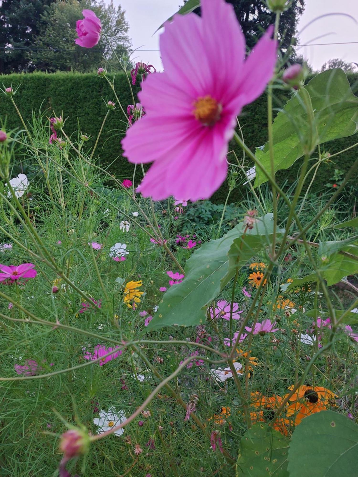 Ferienwohnung Gerti Pinkafeld Exteriör bild