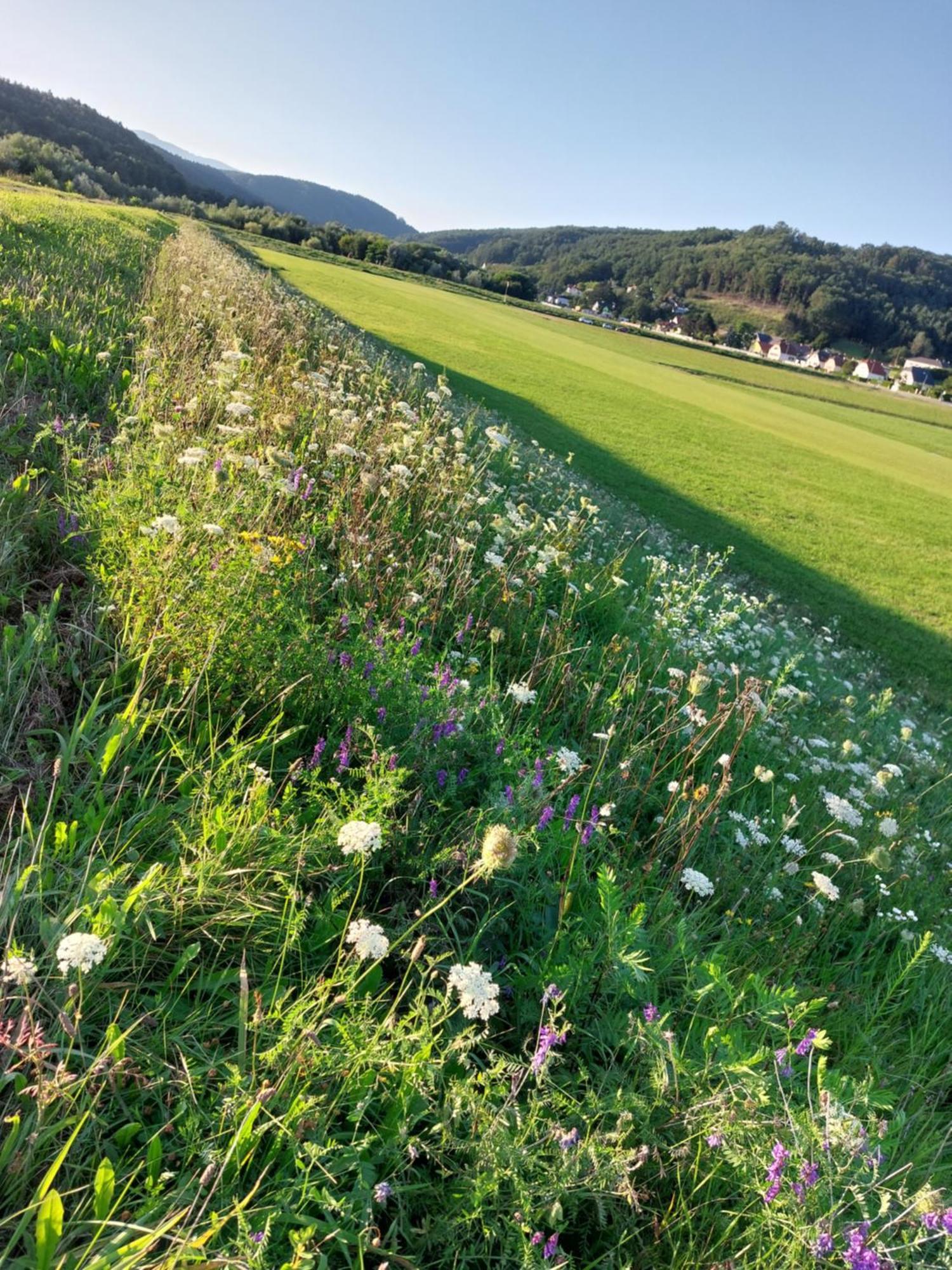 Ferienwohnung Gerti Pinkafeld Exteriör bild